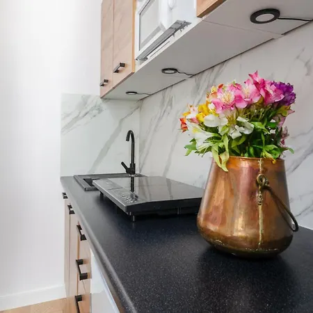 Daire Centrum 1 Gdanska 44 *